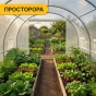 Велика теплиця парник 3 на 4 м LEOBRO Біла армована (LB-G104-WHT) - 8